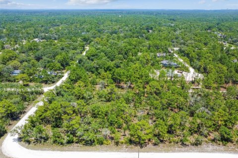 Land in Weeki Wachee, Florida № 577377 - photo 25