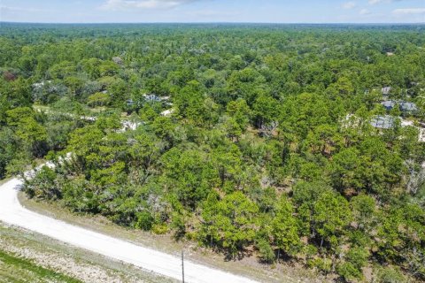Land in Weeki Wachee, Florida № 577377 - photo 30