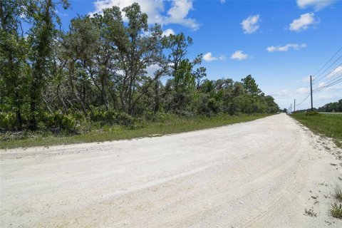 Land in Weeki Wachee, Florida № 577377 - photo 18