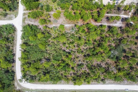 Land in Weeki Wachee, Florida № 577377 - photo 6