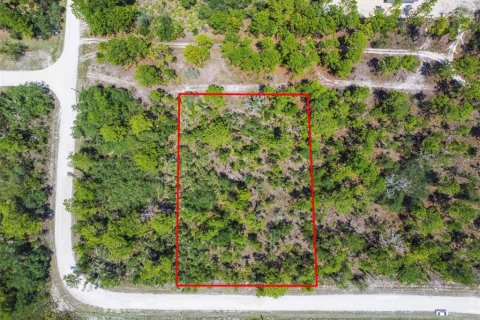 Land in Weeki Wachee, Florida № 577377 - photo 4