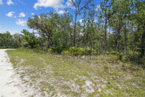 Land in Weeki Wachee, Florida № 577377 - photo 15