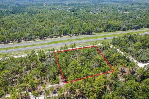 Land in Weeki Wachee, Florida № 577377 - photo 5