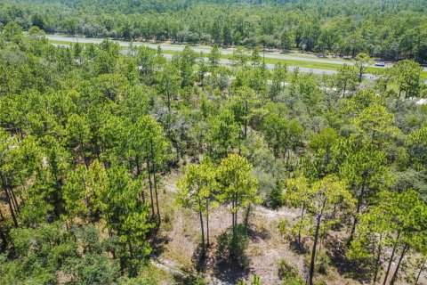 Land in Weeki Wachee, Florida № 577377 - photo 10