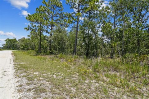 Land in Weeki Wachee, Florida № 577377 - photo 13