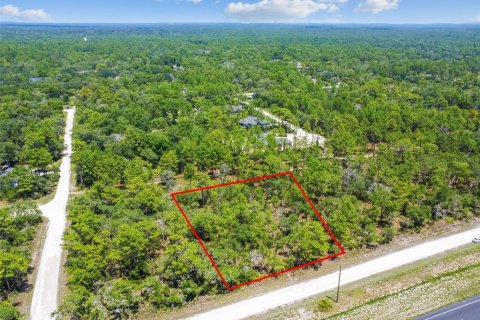 Land in Weeki Wachee, Florida № 577377 - photo 27
