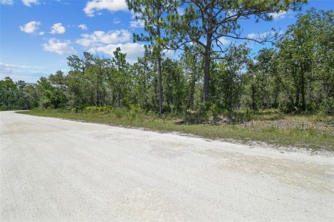 Land in Weeki Wachee, Florida № 577377 - photo 3