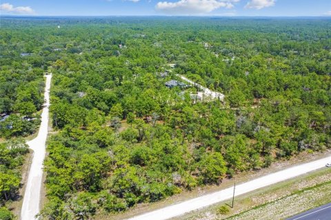 Land in Weeki Wachee, Florida № 577377 - photo 26