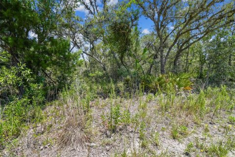 Land in Weeki Wachee, Florida № 577377 - photo 20