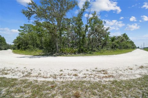 Land in Weeki Wachee, Florida № 577377 - photo 7