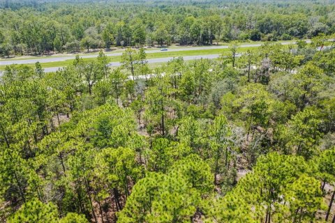 Land in Weeki Wachee, Florida № 577377 - photo 9
