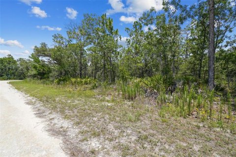 Land in Weeki Wachee, Florida № 577377 - photo 14