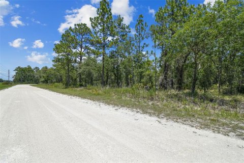 Land in Weeki Wachee, Florida № 577377 - photo 12