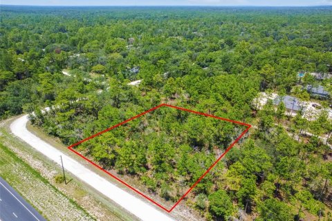 Land in Weeki Wachee, Florida № 577377 - photo 1