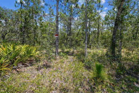Land in Weeki Wachee, Florida № 577377 - photo 16