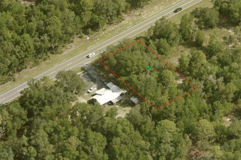 Land in Dunnellon, Florida № 2162722 - photo 3