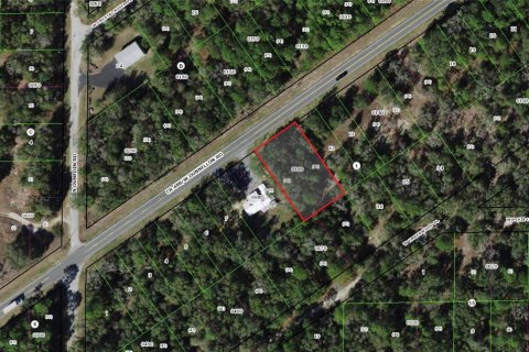 Land in Dunnellon, Florida № 2162722 - photo 2