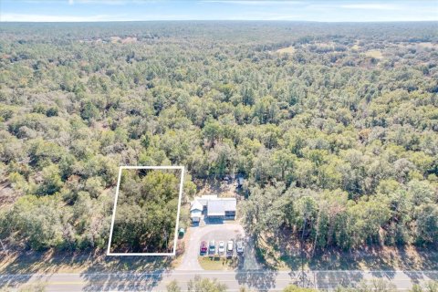 Land in Dunnellon, Florida № 2162722