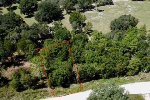 Land in Williston, Florida № 2160655 - photo 9