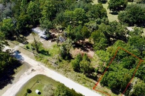 Land in Williston, Florida № 2160655 - photo 8
