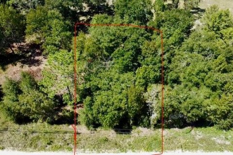 Land in Williston, Florida № 2160655 - photo 2
