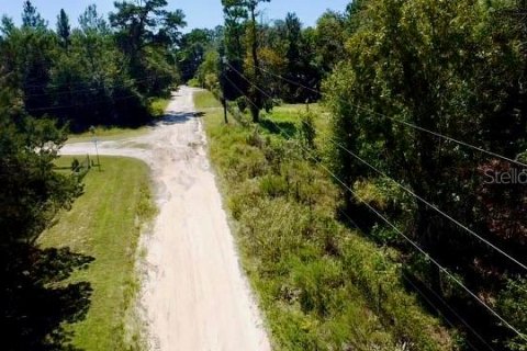 Land in Williston, Florida № 2160655 - photo 4