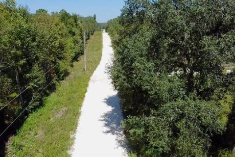 Land in Williston, Florida № 2160655 - photo 5