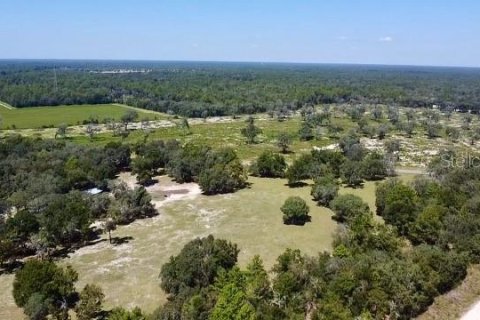 Land in Williston, Florida № 2160655 - photo 10
