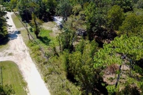 Land in Williston, Florida № 2160655 - photo 6