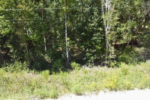Land in Williston, Florida № 2160655
