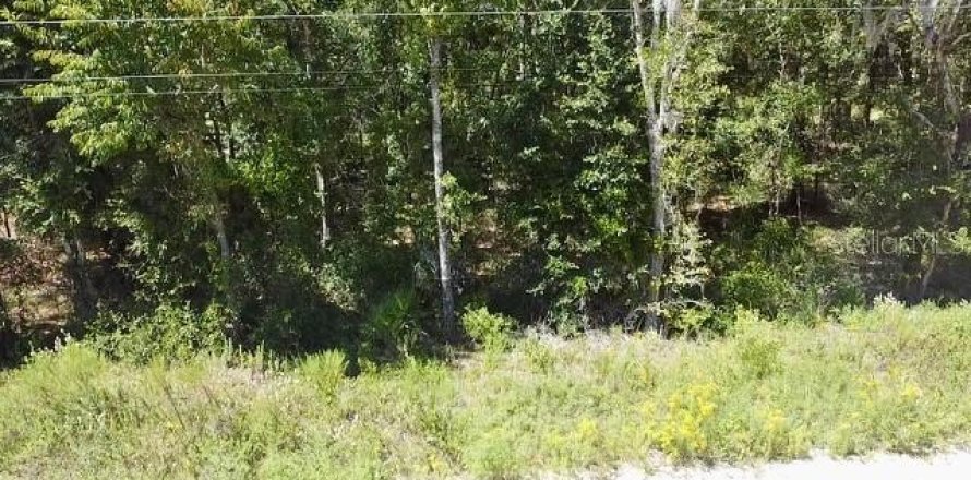 Land in Williston, Florida № 2160655