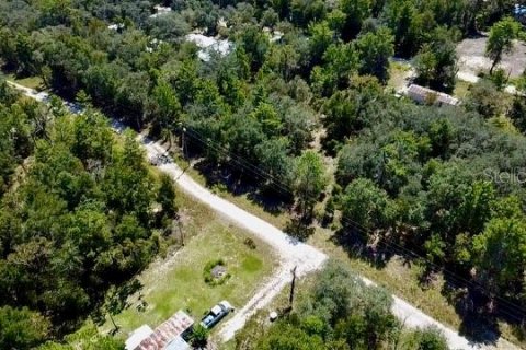 Land in Williston, Florida № 2160655 - photo 13