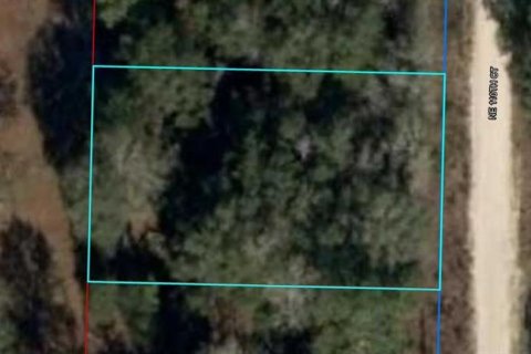Land in Williston, Florida № 2160655 - photo 3