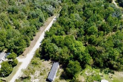 Land in Williston, Florida № 2160655 - photo 11