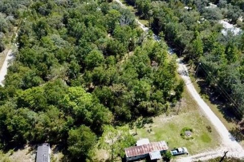 Land in Williston, Florida № 2160655 - photo 12