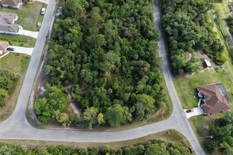 Land in North Port, Florida № 2199539 - photo 5