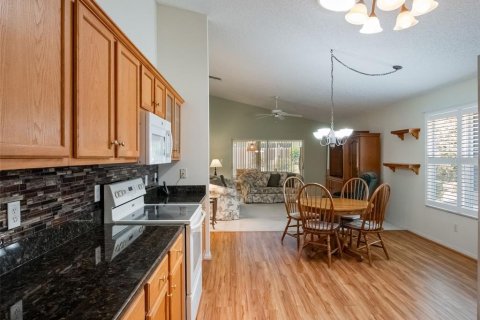 Villa ou maison à vendre à Leesburg, Floride: 3 chambres, 234.95 m2 № 1750486 - photo 12