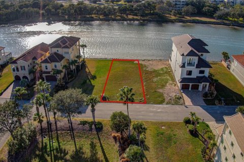 Land in Palm Coast, Florida № 2166421 - photo 6