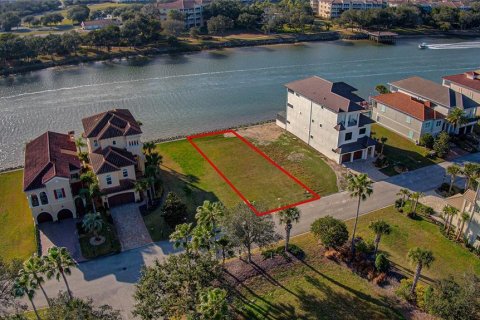 Land in Palm Coast, Florida № 2166421 - photo 7
