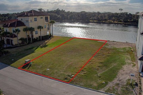Land in Palm Coast, Florida № 2166421 - photo 5