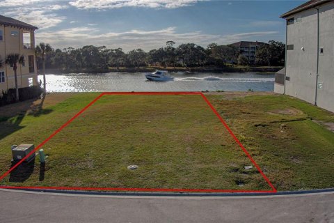 Land in Palm Coast, Florida № 2166421 - photo 8