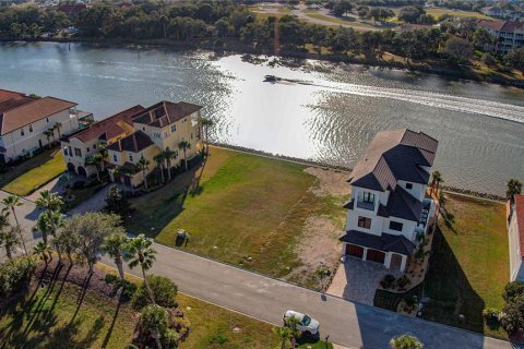 Land in Palm Coast, Florida № 2166421 - photo 9