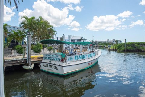 Copropriété à vendre à Placida, Floride: 1 chambre, 64.75 m2 № 2415181 - photo 21