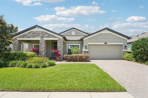 House in Lutz, Florida 5 bedrooms, 310.01 sq.m. № 2155927