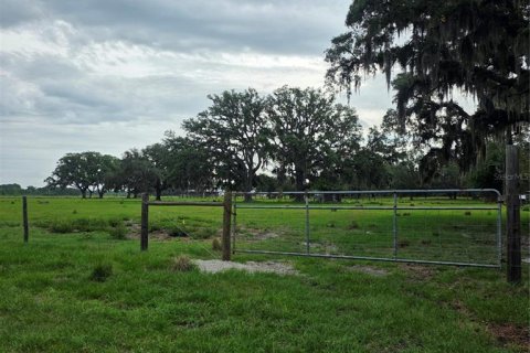 Terrain à vendre à Spring Hill, Floride № 2213315 - photo 6