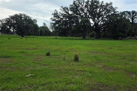 Terrain à vendre à Spring Hill, Floride № 2213315 - photo 2