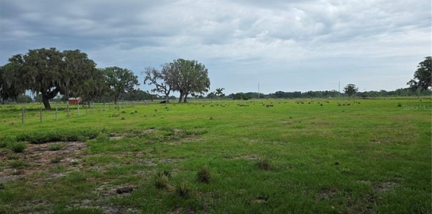 Terrain à Spring Hill, Floride № 2213315