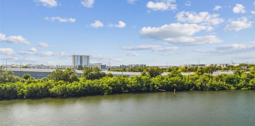 Condo à Tampa, Floride, 1 chambre № 2416338