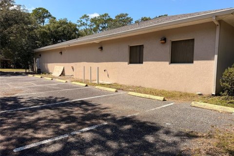 Immobilier commercial à vendre à Astor, Floride: 421.96 m2 № 2388920 - photo 4