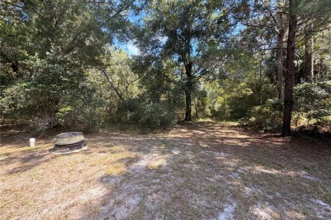 Immobilier commercial à vendre à Astor, Floride: 421.96 m2 № 2388920 - photo 10